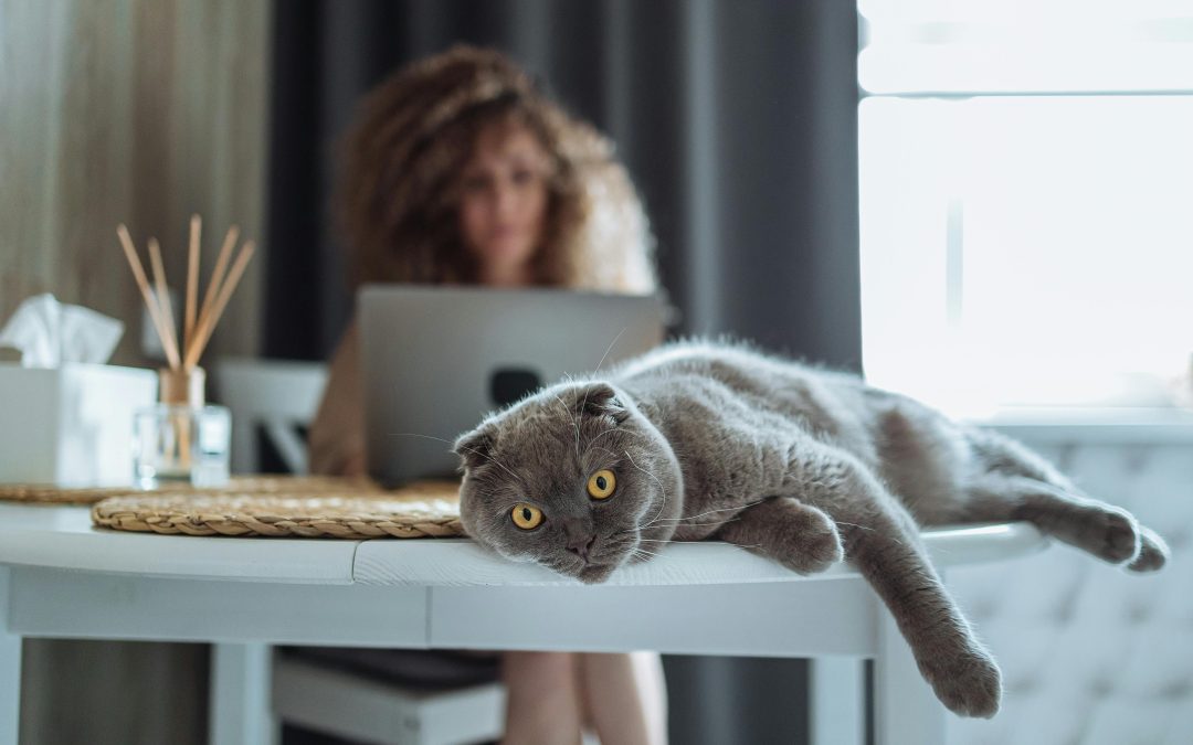 Procrastinació: enemiga de la productivitat o missatgera del cos?